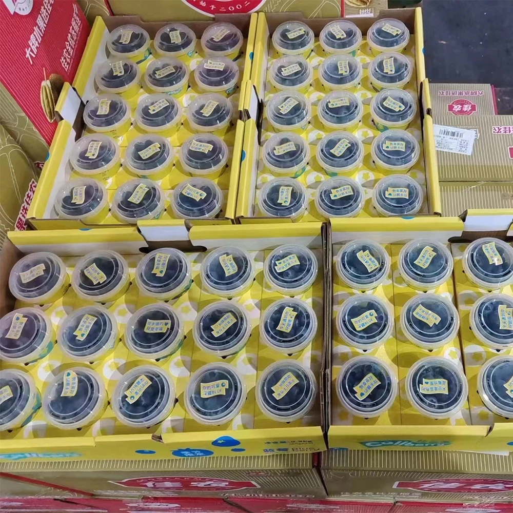 Yun Nan Cup Sweet Blueberry Fresh Fruit China  Price