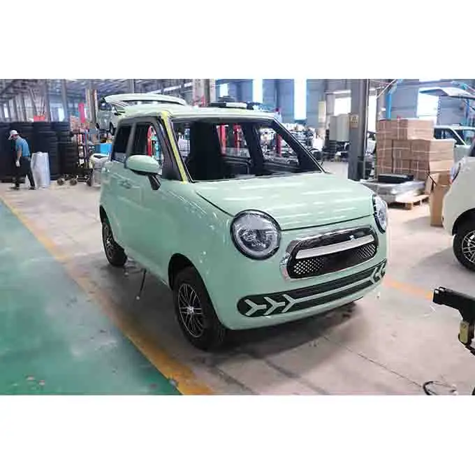 YANUO  Made in China, practical environmentally friendly electric vehicle adult miniature