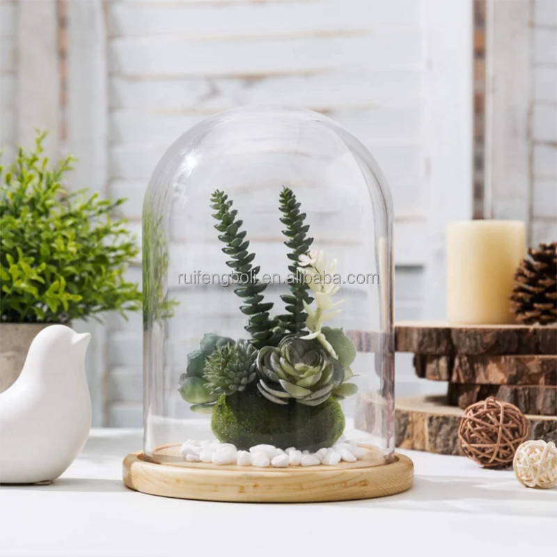 Wholesale Display Bell Jar Terrarium Replacement Glass Domes Clear Oval Cloche Glass Bell Dome With Wood Base