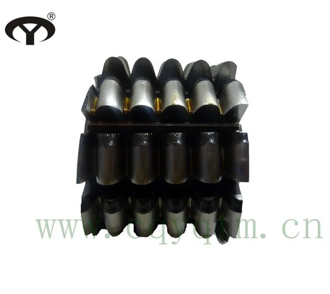 HSS China Chongqing Roller Chain Sprocket Hob Cutter with AP coating