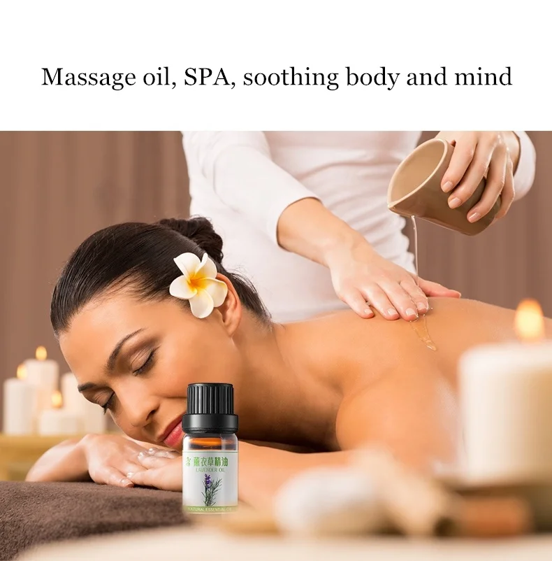 Aromatherapy Rose Fragrance Oil For Air Fresheners Bedroom Rooms Perfume Incense Diffuser Essential Oil Set