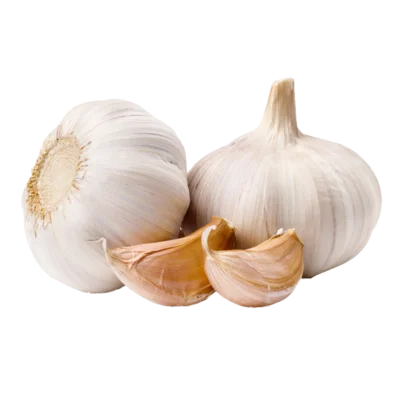 China garlic price exporter wholesale shandong ajo supplier normal white garlic fresh