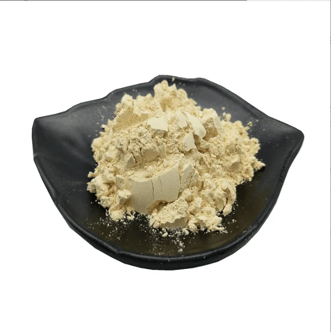 Hot Sales Sea Buckthorn Freeze-dried Powder with Low Price