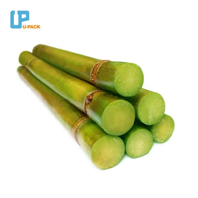 Eco friendly packaging Braskem Green PE Bio-Plastic Tube Sustainable Green Cosmetic Packaging Customized