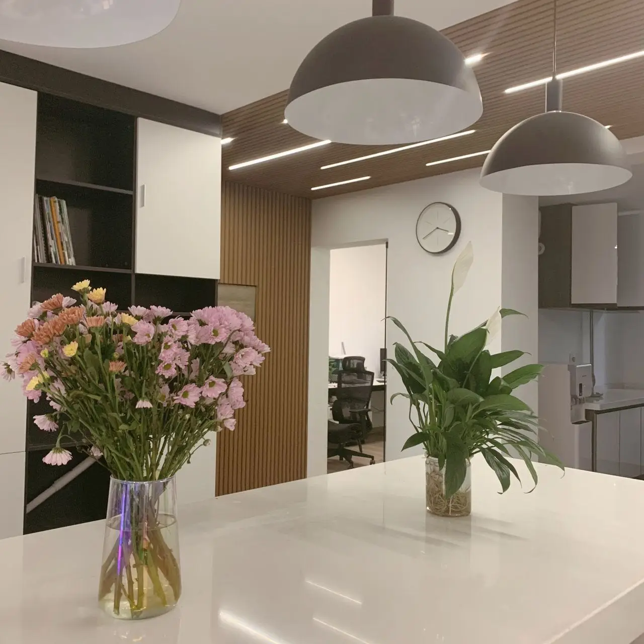 Hot selling 219*26 co-extruded WPC wall panel