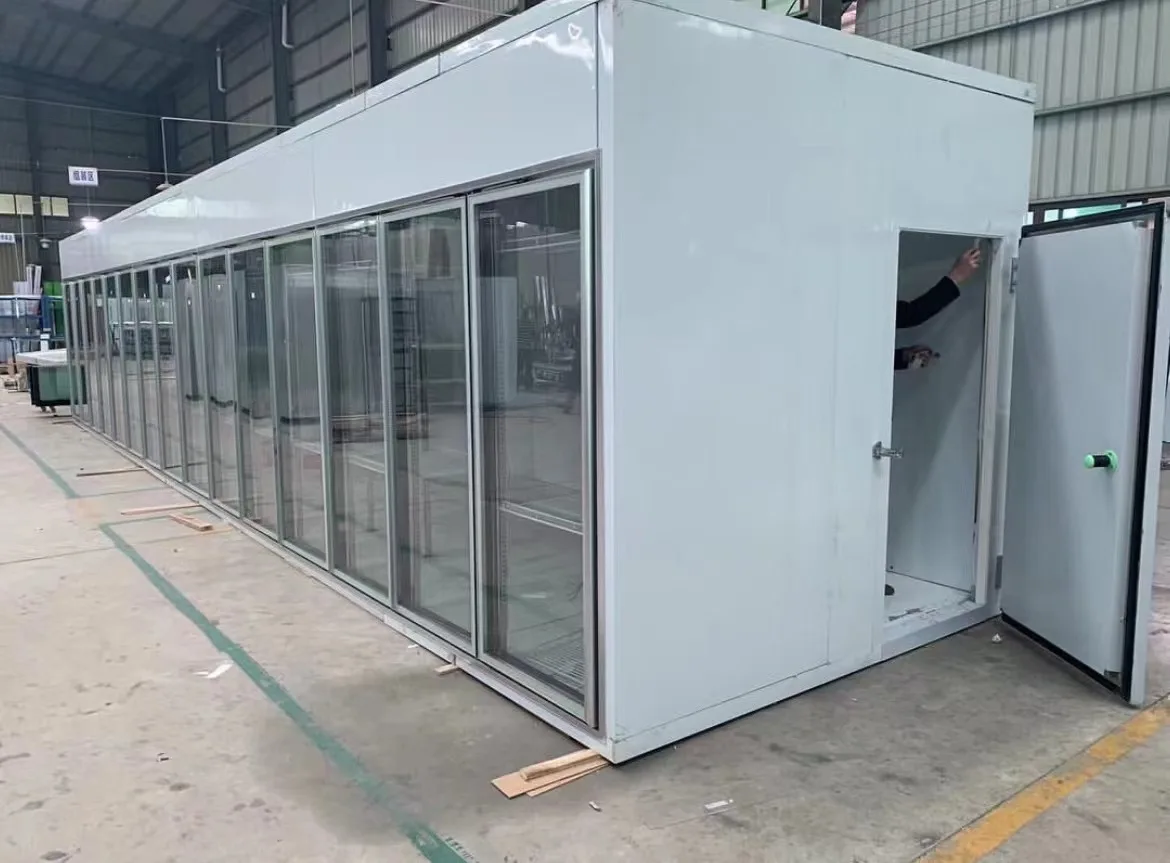 Walk in Cooler Freezer Cold Room panel and glass door with shelf