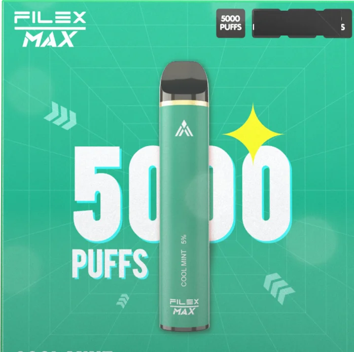 Vapes авторучки оптовая продажа Bang Filex XXL Pro Max 5000 перезаряжаемые электронные сигареты