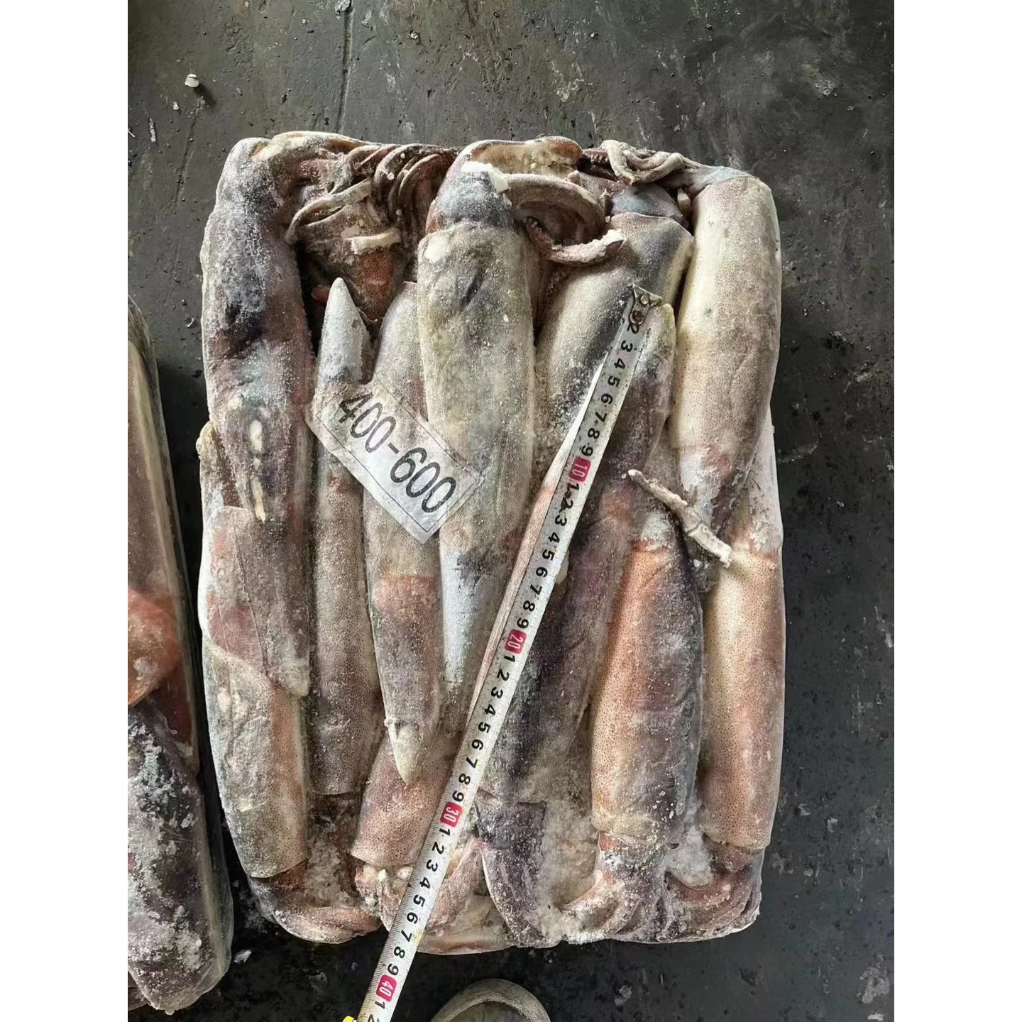 Замороженный кальмар Illex/аргентинский кальмар 400-600 г