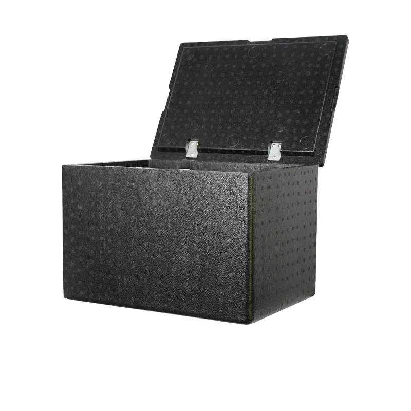 Custom Logo Fruit Preservation Biodegradable Portable Cooler Box Food Container Cooler Box