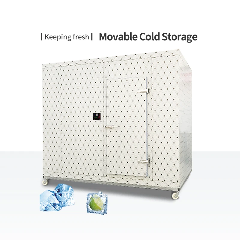 Freezing Chambers Cold Room Storage Freezing Chamber Froide Freezer Compressor Rooms Refrigerator Containers For Meat