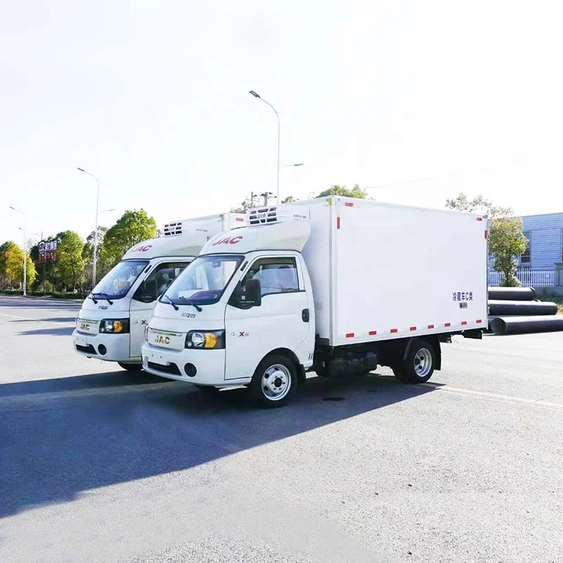Gasoline Fuel Type JAC 2 Tons Refrigeration Truck Mini Freezer Van Truck for Sale