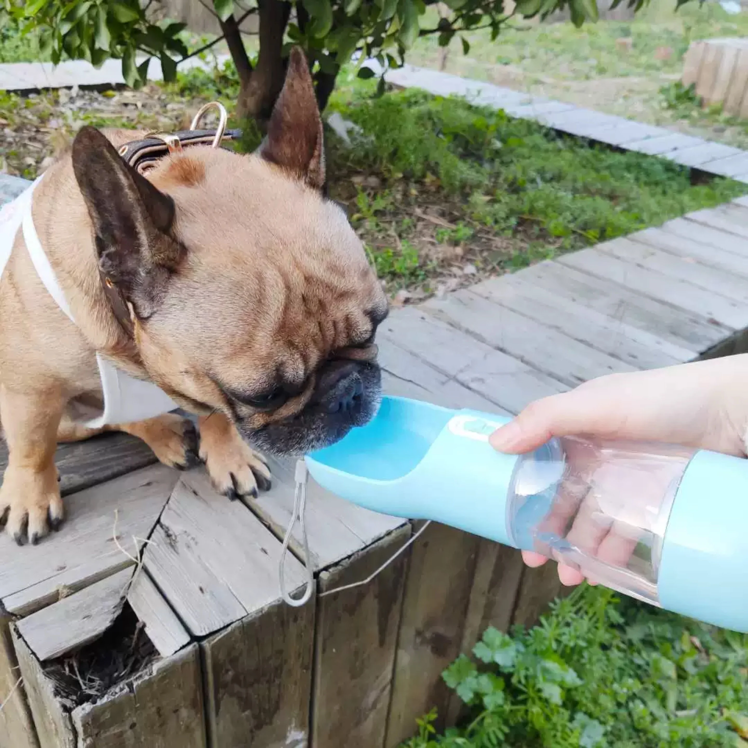 550Ml Plastic Portable Dog Travel Drinking Pet Dog Bowls Mat Food Scoop Feeder