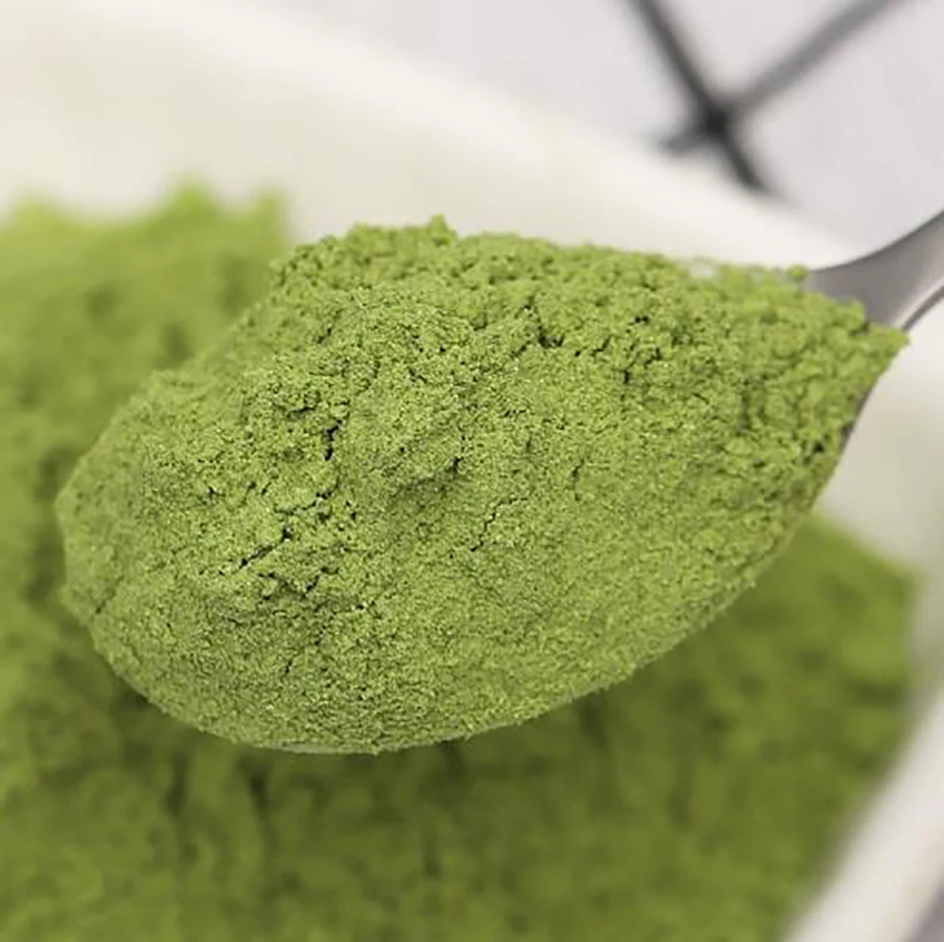 Best price green Fried rice powder seasoning powder for fried rice