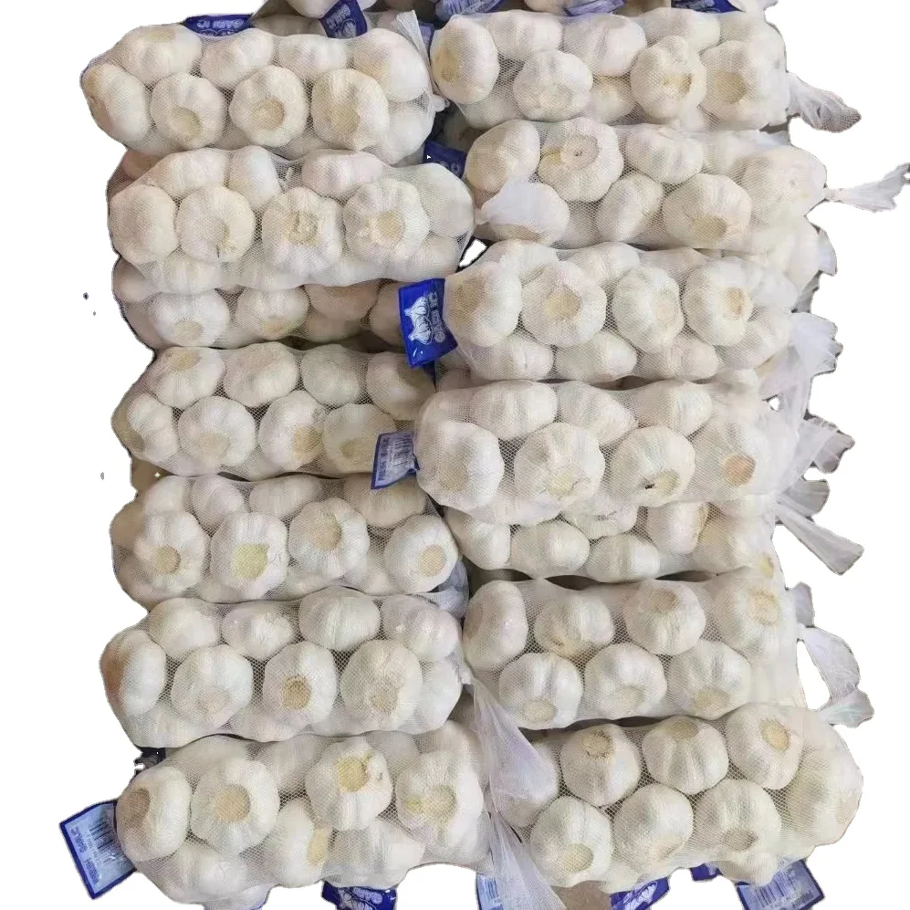Garlic Supplier in China Normal White and Red Garlic for Sale