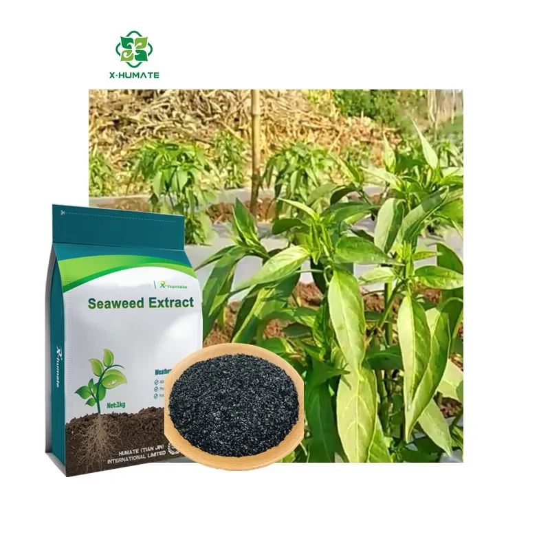 X-humate organic fertilizer  Alginic acid 25%min High concentrated  seaweed extract flakes