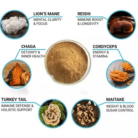 Private Label Top Quality Herbal Mushroom Extract Powder - USDA Organic - Lions Mane, Reishi, Cordyceps, Chaga, Turkey Tail