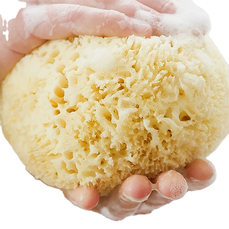 Lonx Sea Foam Sponge Organic Customized Packaging Natural Sea Sponge Wholesale Greece Natur Schwamm