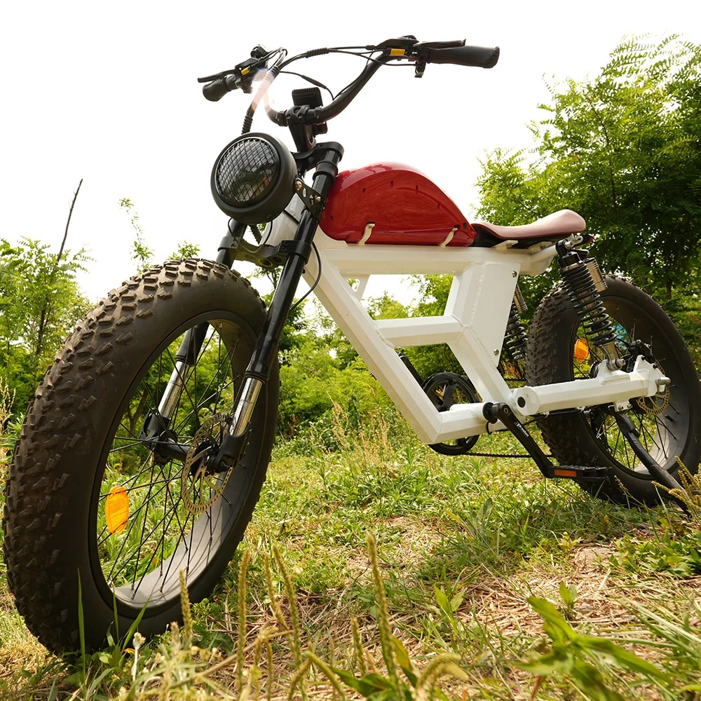 Aluminum Alloy 24inch powerful electric snow bicycle ebike beach cruiser with 7 speed gears derailleur for wholesale