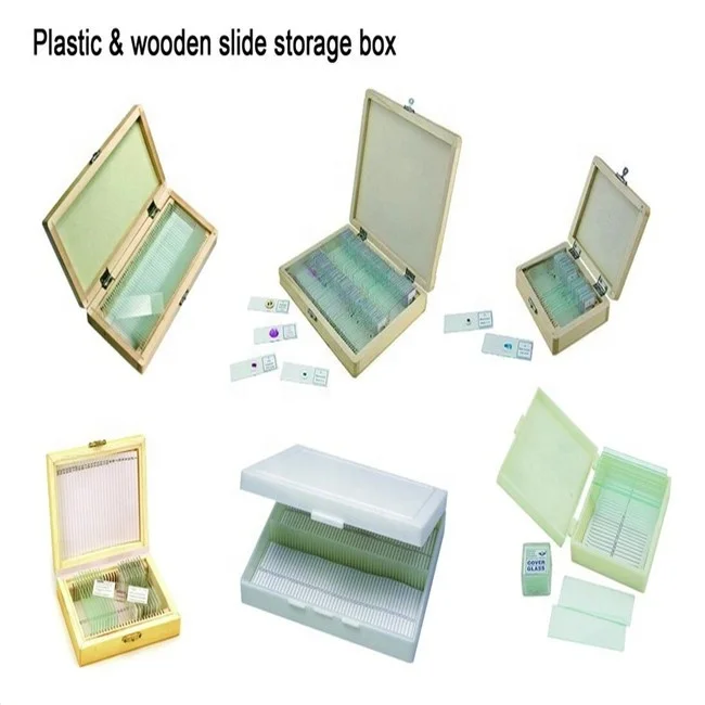 50 slides of medical science human teeth oral pathology prepared for university standards