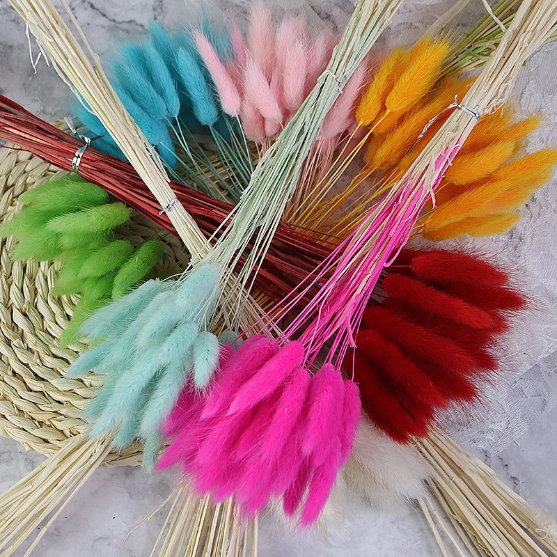 Dried Flowers Lagurus Ovtus Foxtail Grass Rabbit Tail Bunny Tails Wholesale Decorative Real Natural for Wedding Home Decor