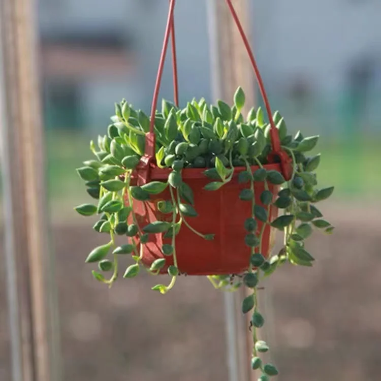 wholesale hanging round  flower pots large plastic plant growing bonsai pot holder hanger garden hanging baskets planter