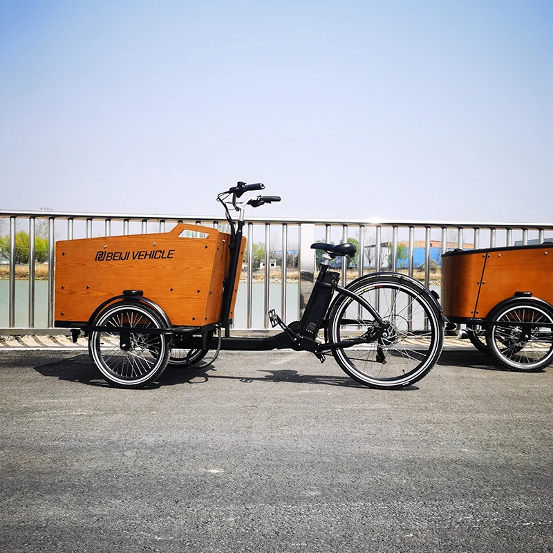250w electric cargo bike manufacture  3 wheel tricycle for family bike with seats