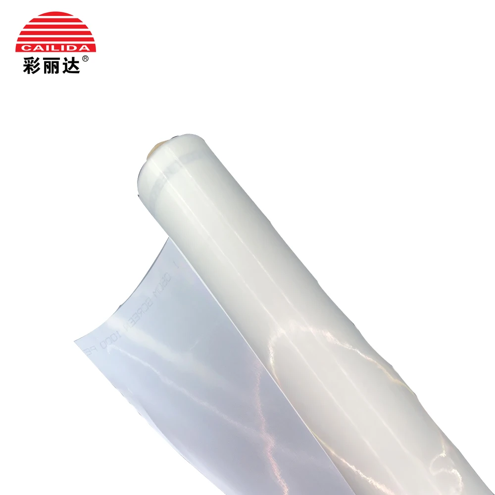 High Quality Silk Screen Printing Mesh Bolting Cloth White Style Polyester Nylon Mesh