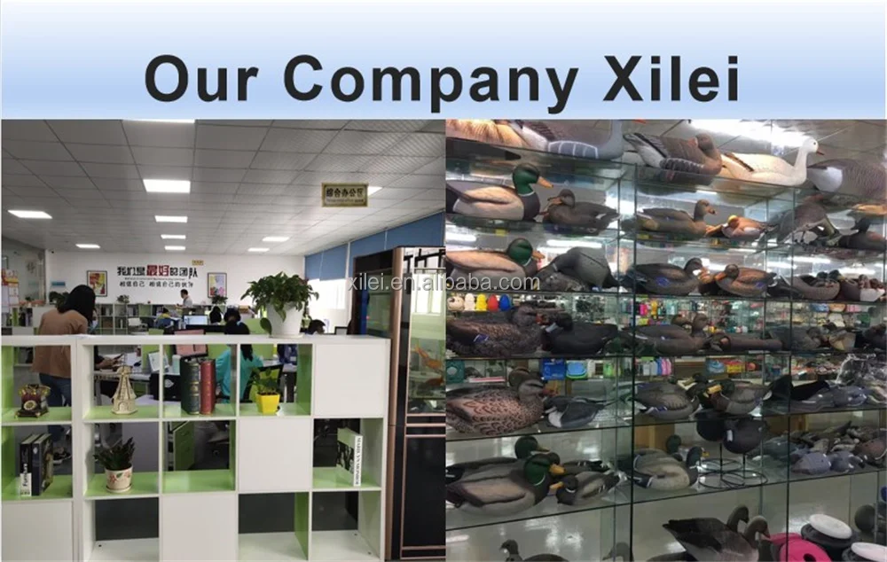 COMPANY.jpg
