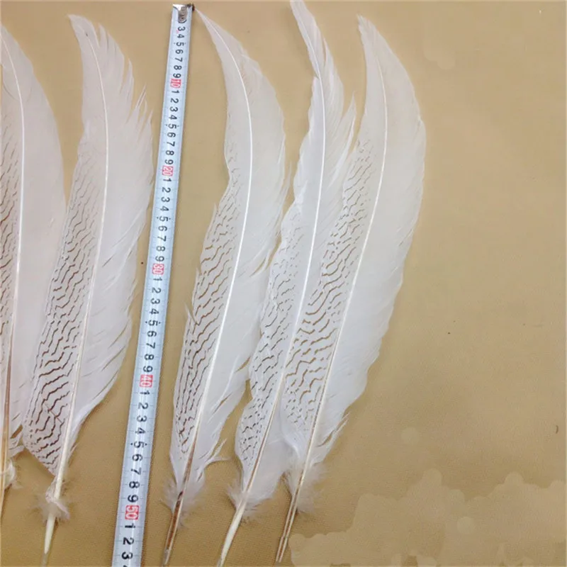 Оптовая продажа, высококачественное белое Серебряное перо фазана для карнавальных костюмов, украшение для вечеринки