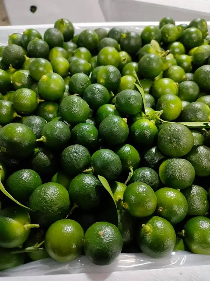 Фрукты каламansi