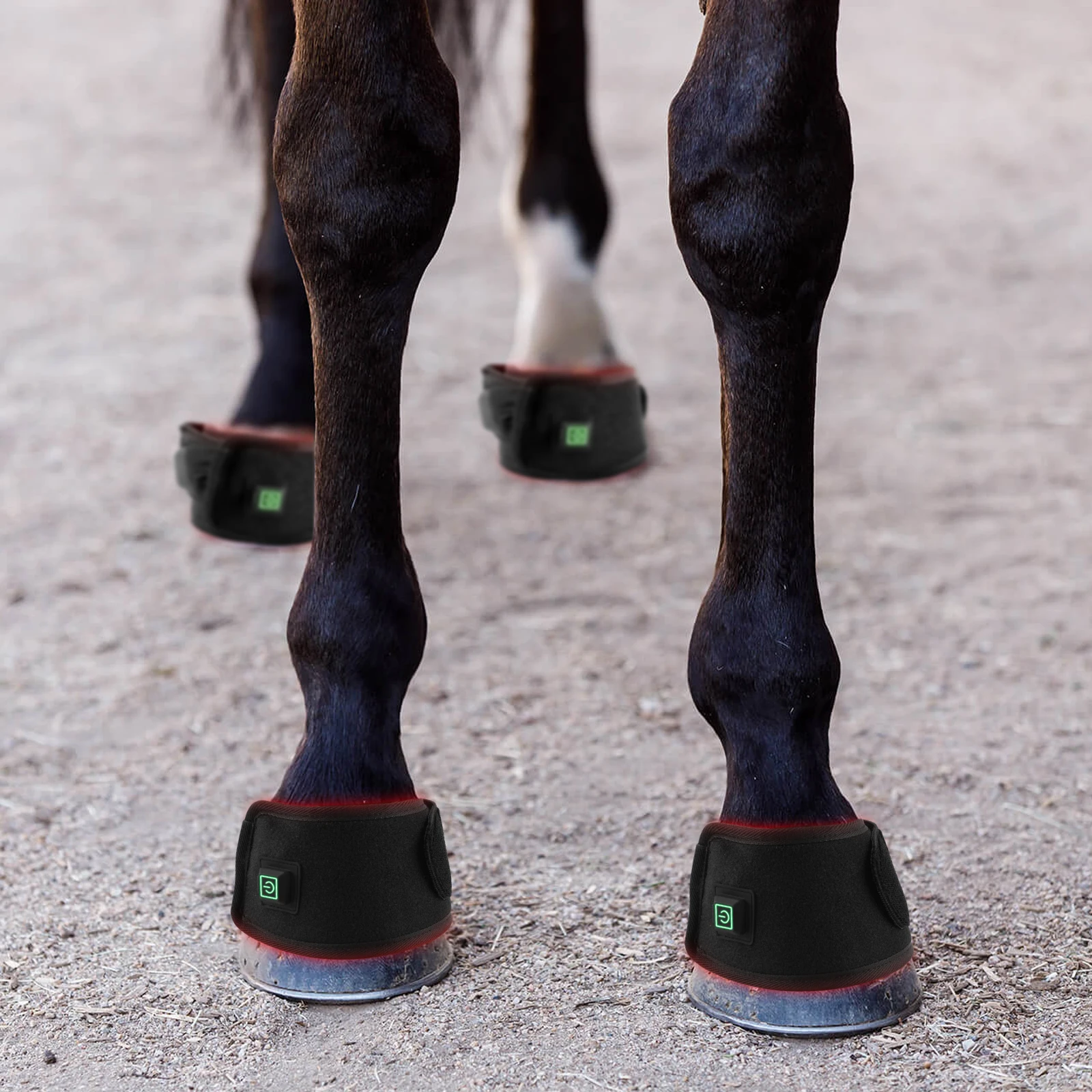 Anredar Red Light and Near Infrared Equine Light Therapy Pads for Horse
