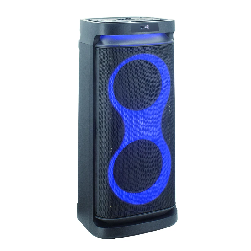 Double 10 Inch Recharging Trolley Portable Speaker Trolley Sound Speaker Box Wireless Speaker