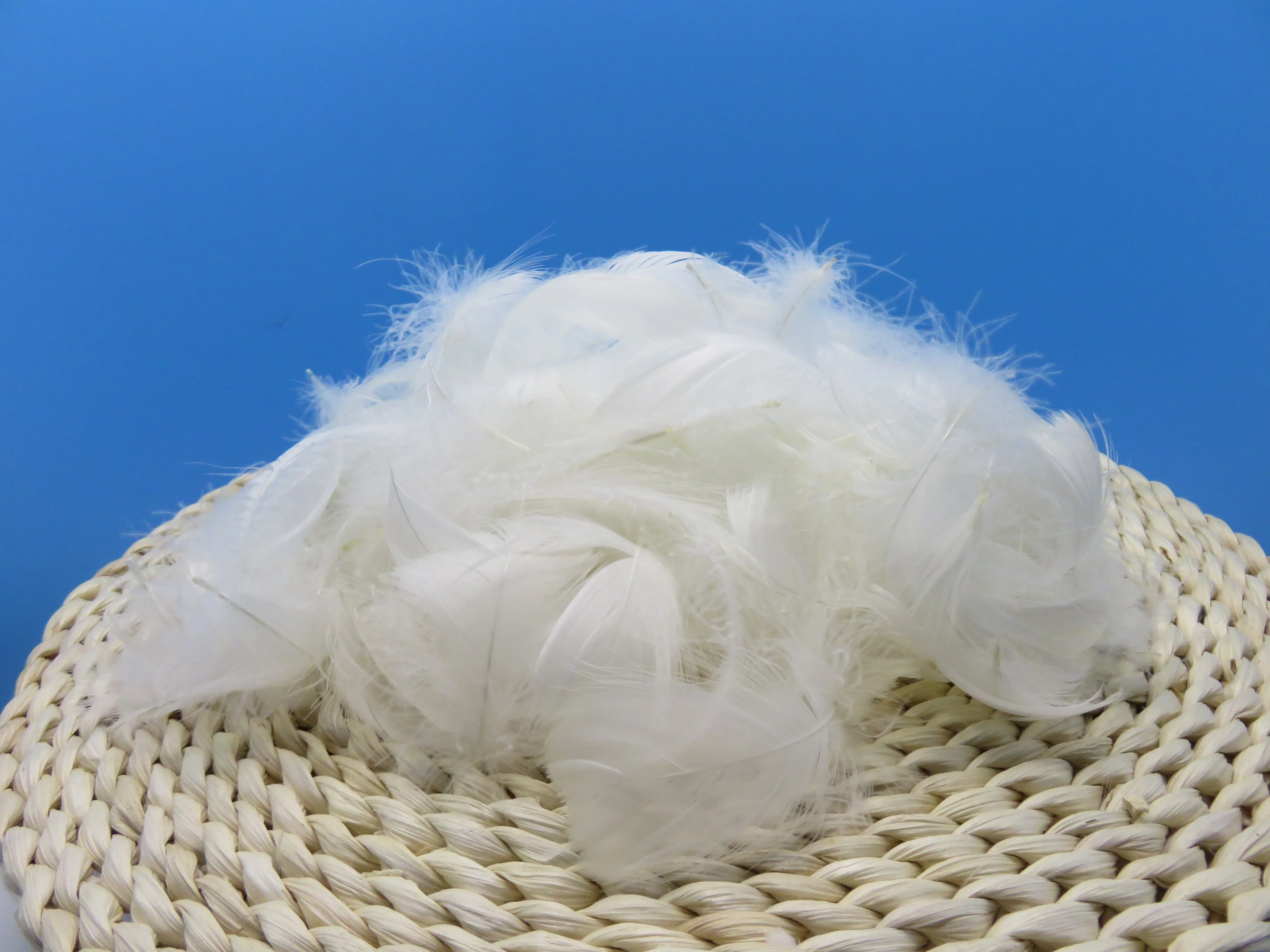 BOLONG High Quality 4-6cm White Goose Feathers Washed Pattern for Fly Tying & Garment Application