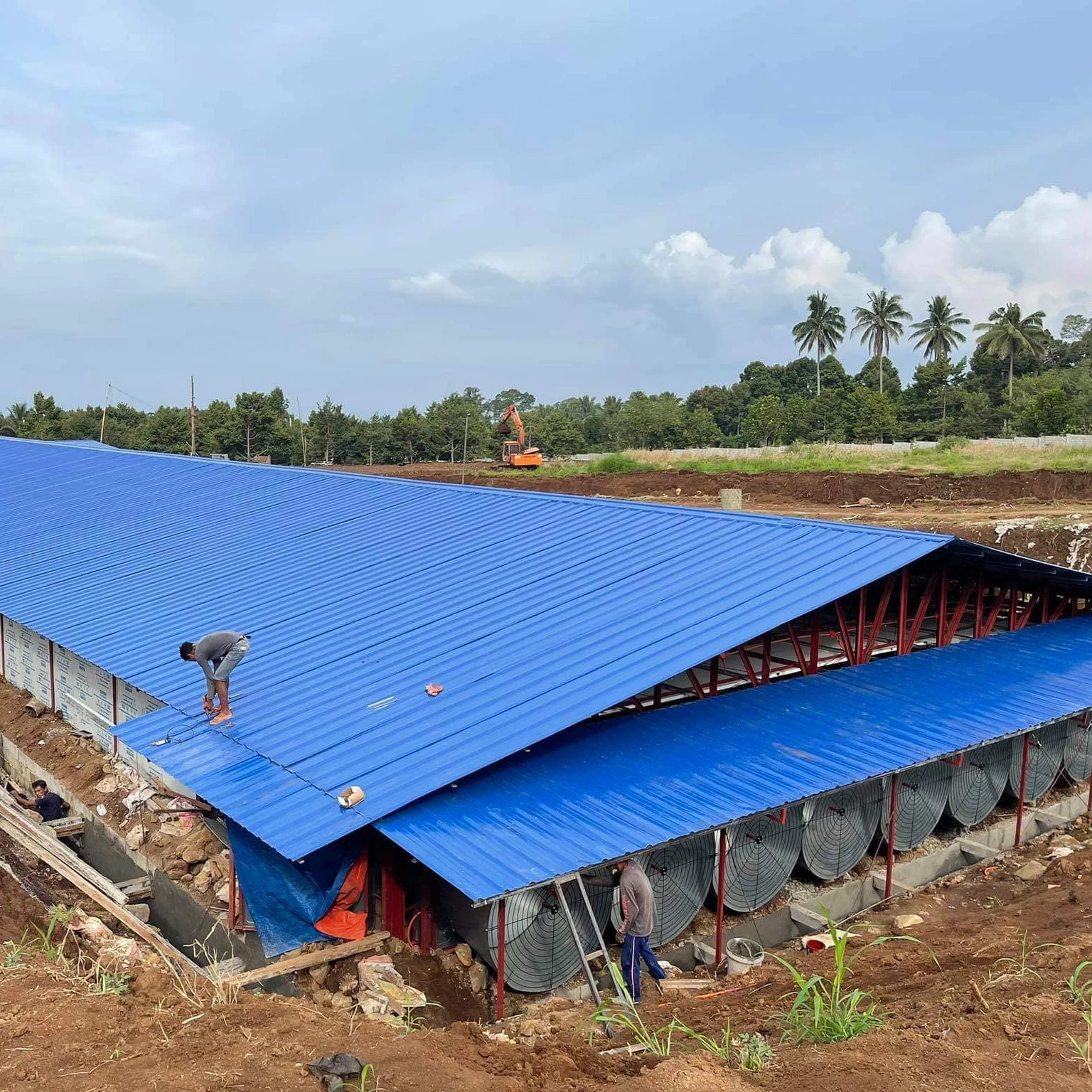 Fully Automatic Tunnel Vent Poultry Farm Poultry Equipment Broiler Chicken for Sale