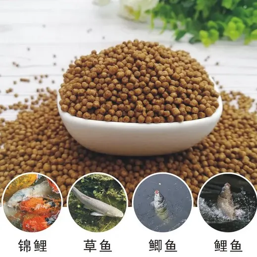 Haiyuan professional fish feed pellet making machine 1tph 2-6mm floating fish feed extruder machine supplier