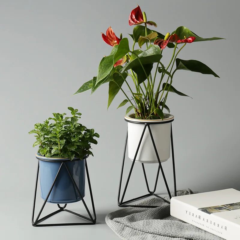 Nordic Succulent Simple Iron Frame Ceramic Hydroponic Green Plant Flower Pot Stand