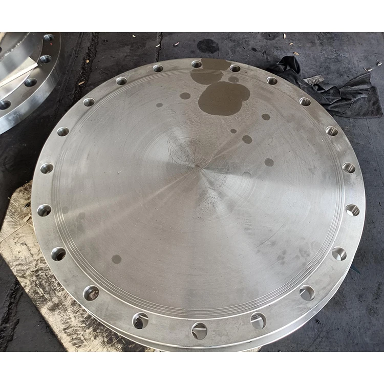Wholesale Custom Class 150 Blind flange Dn750 carbon steel forged flange