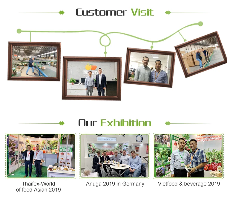 3-Customer & Exhibition.png