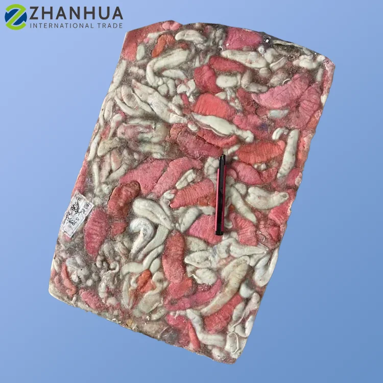 Squid Egg Block Frozen Good Quality Squid Roe