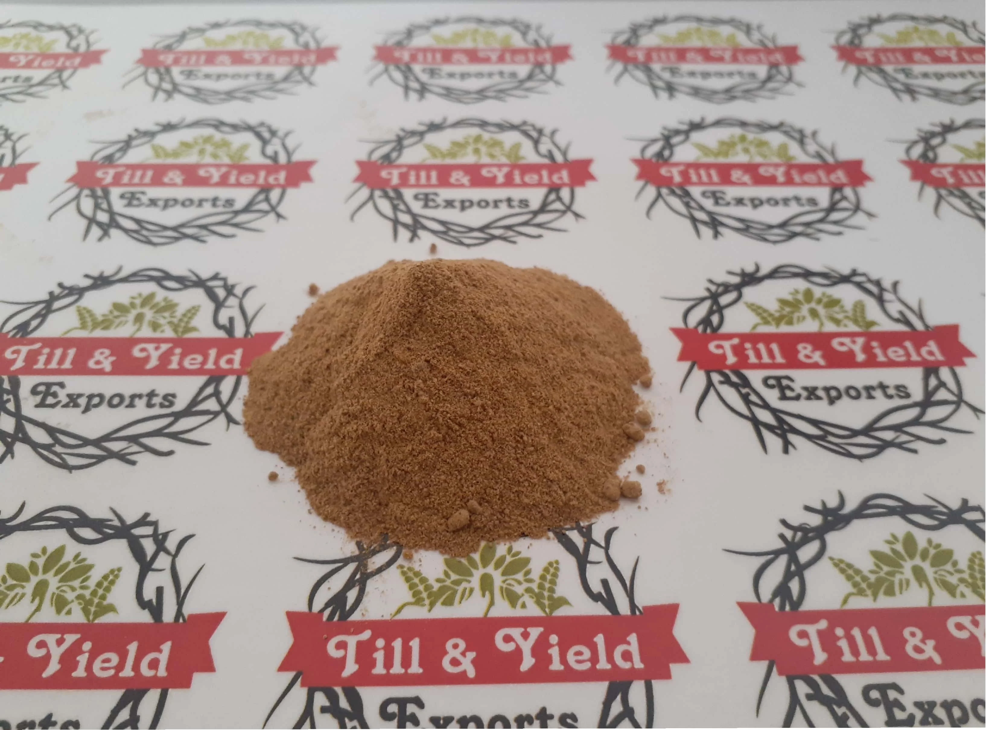 High Quality Natural Organic Ginger Extract Powder 1% by HPCL Ginger Root Extract Powder
