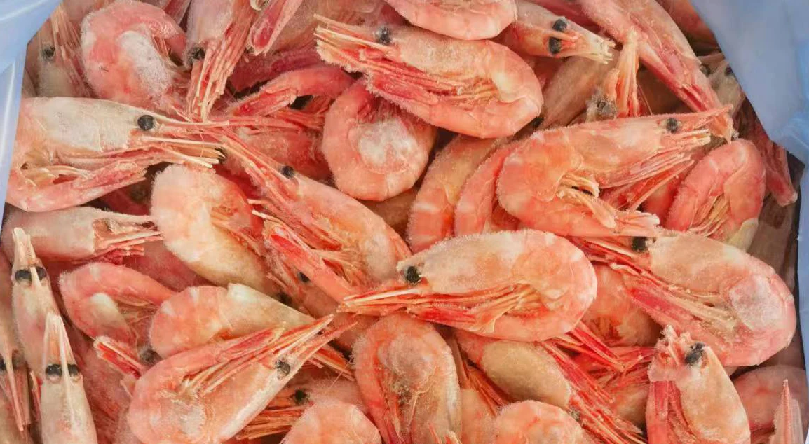 Cold water frozen shrimp to Russia