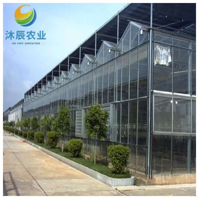 Automated Intelligent Greenhouse /ecological Glass Greenhouse