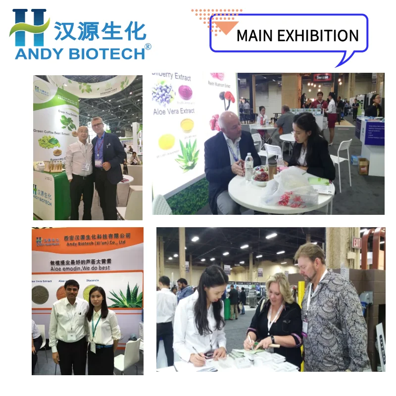 Wholesale Price Bitter Almond Powder Bitter Apricot Kernel Extract Powder