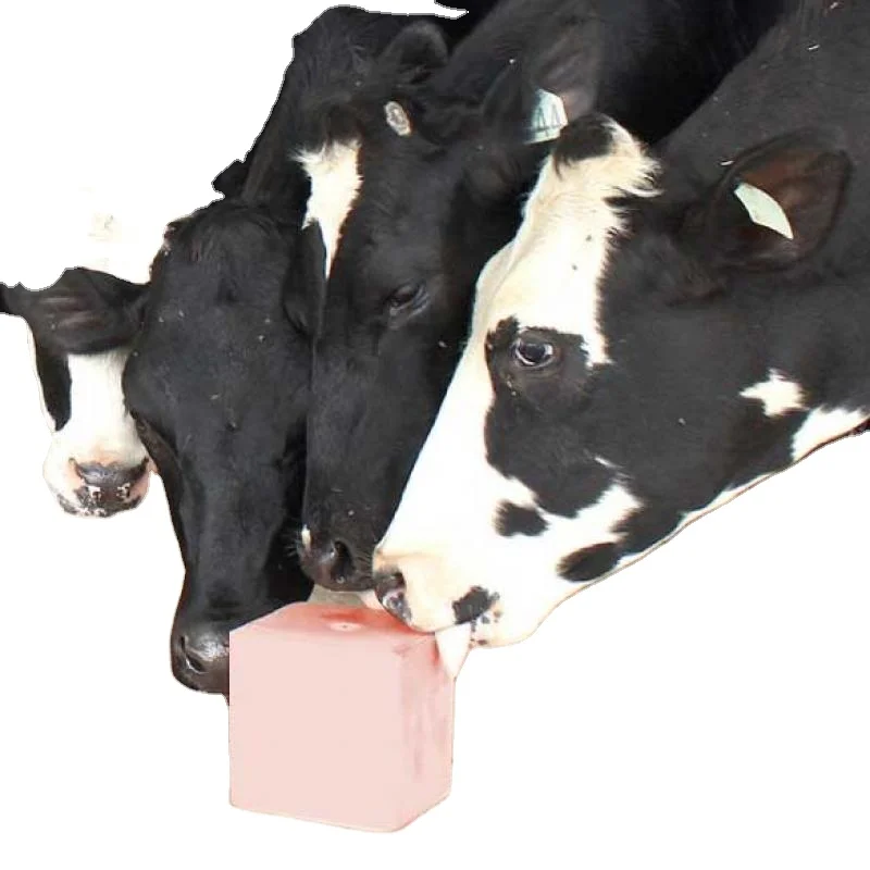Compressed Himalayan Lick Salt Block, Himalayan Mineral Lick Salt Blocks for Horses Cattle cows for sale