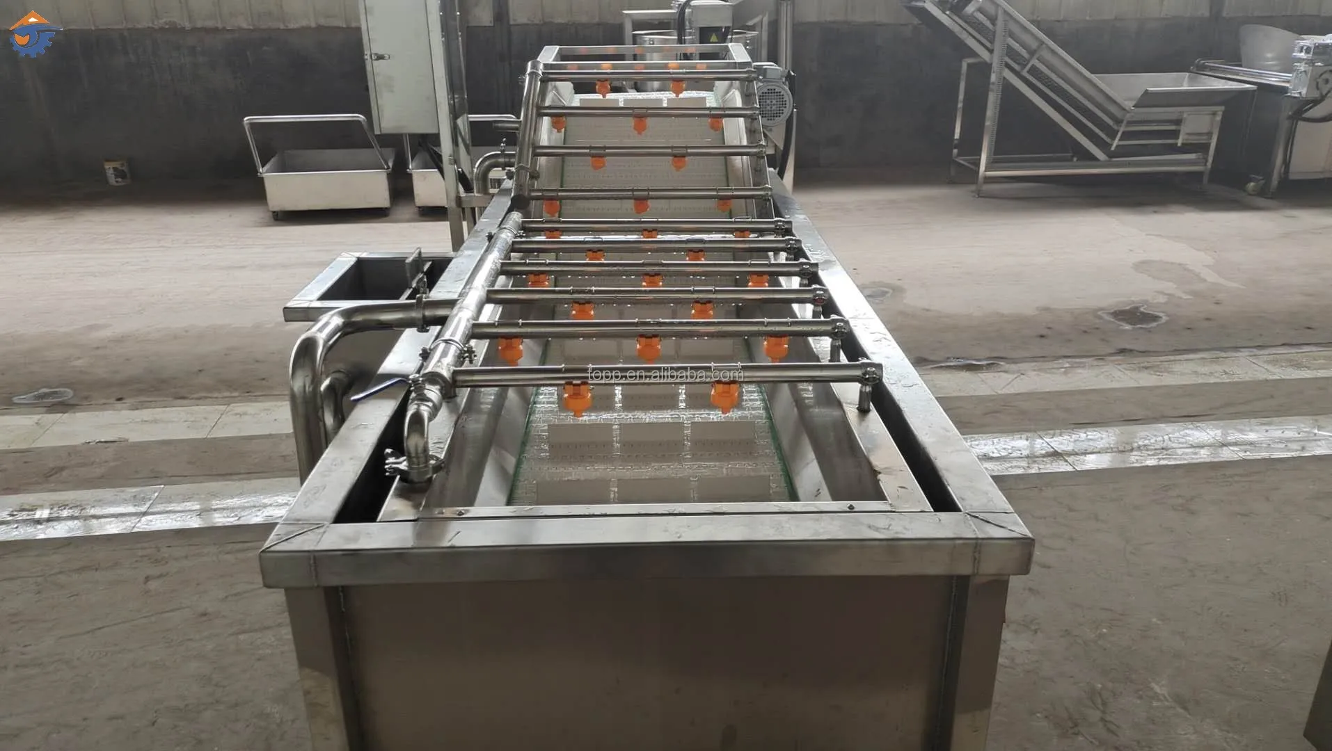 Vegetable fruits wash and dry processing machines supply vegetable washing line