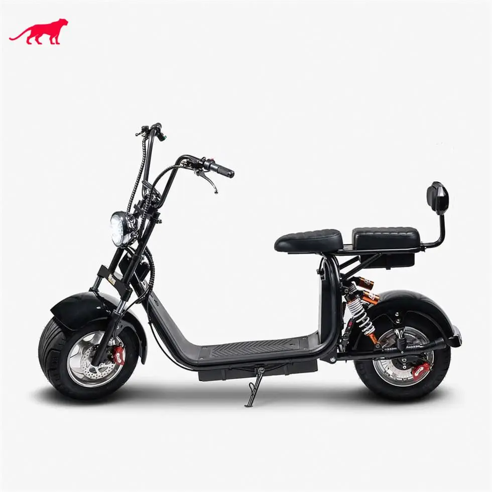 Double Seat Scooter Citycoco R804-M1 In Netherlands And Belgium