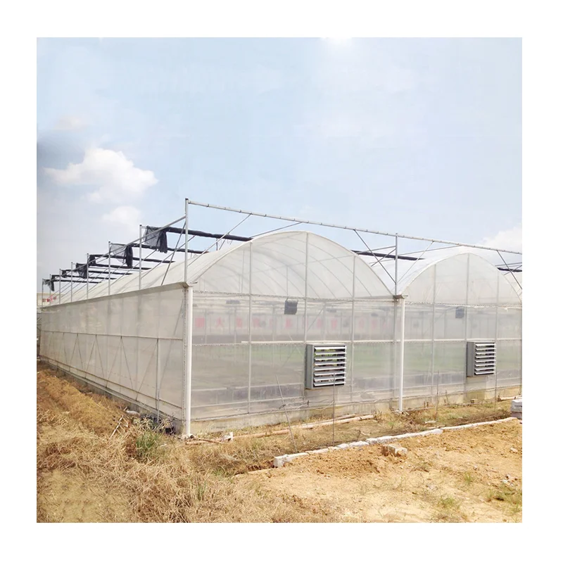 Hot sale smart Chinese green house agriculture greenhouses in multi-span green house covered poly film