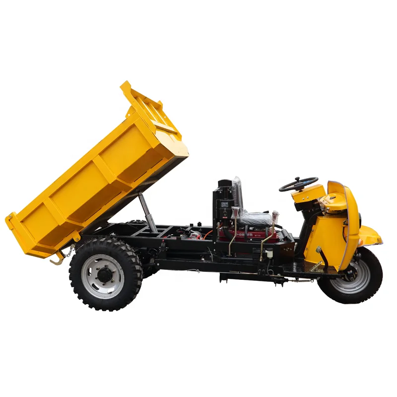 Mini 3 Wheel Dumper Cargo Tricycle 3 Wheel Motorcycle Dump Truck For Sale
