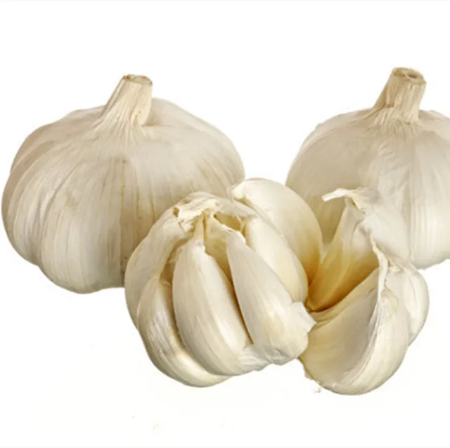 Where To Buy Wholesale Chinese Price Garlic Kating