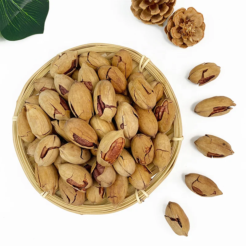 Wholesale Price Factory Direct Hot Sale Medium Dried Pecan nuts  Freshly Picked Bulk Pecan nuts for Snack Food.